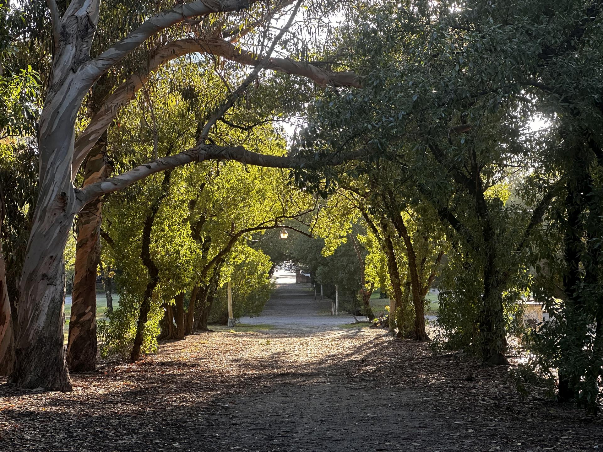 Parque